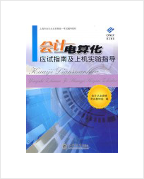Accounting computerization